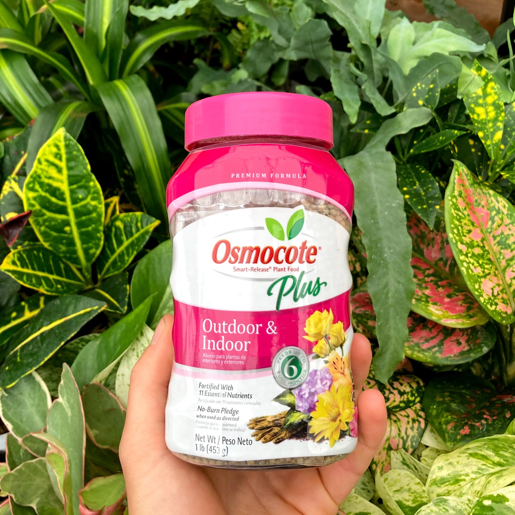 Osmocote plus shop